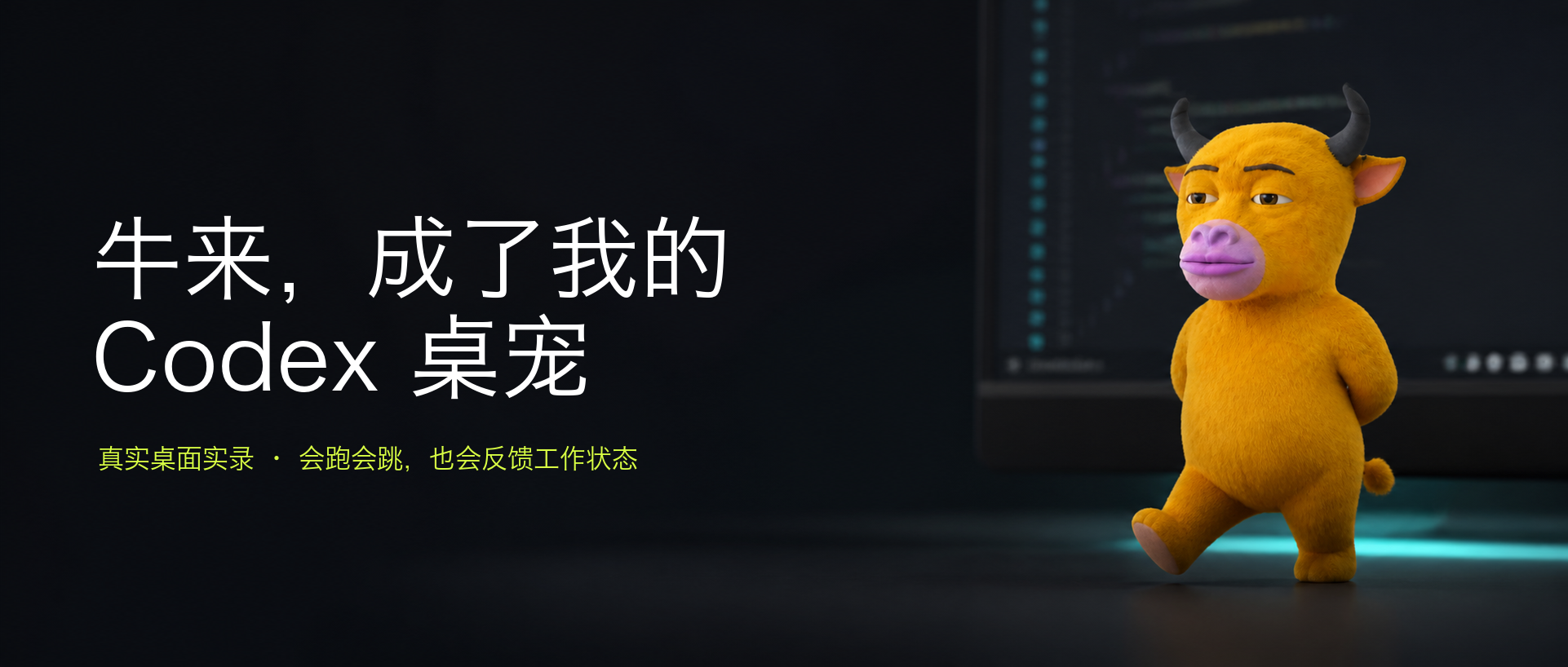 牛来成为 Codex 桌宠的文章首图:真实桌面实录,会跑会跳,也会反馈工作状态